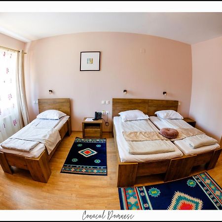 Conacul Domnesc Hotel Scheia Екстериор снимка