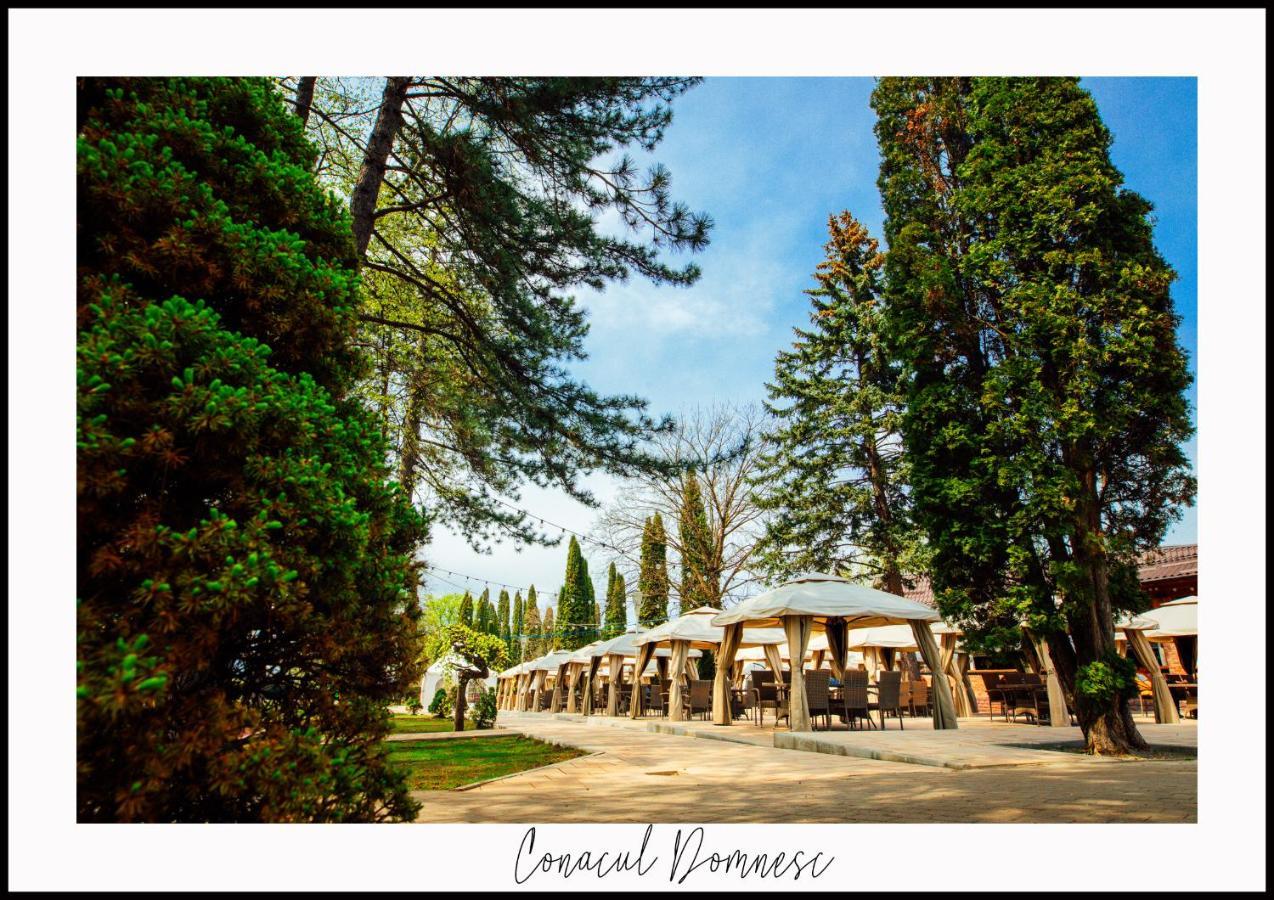 Conacul Domnesc Hotel Scheia Екстериор снимка