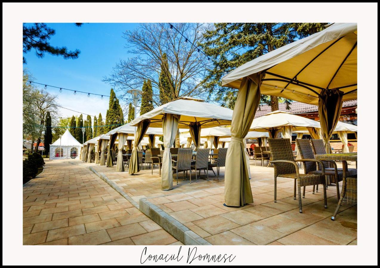 Conacul Domnesc Hotel Scheia Екстериор снимка