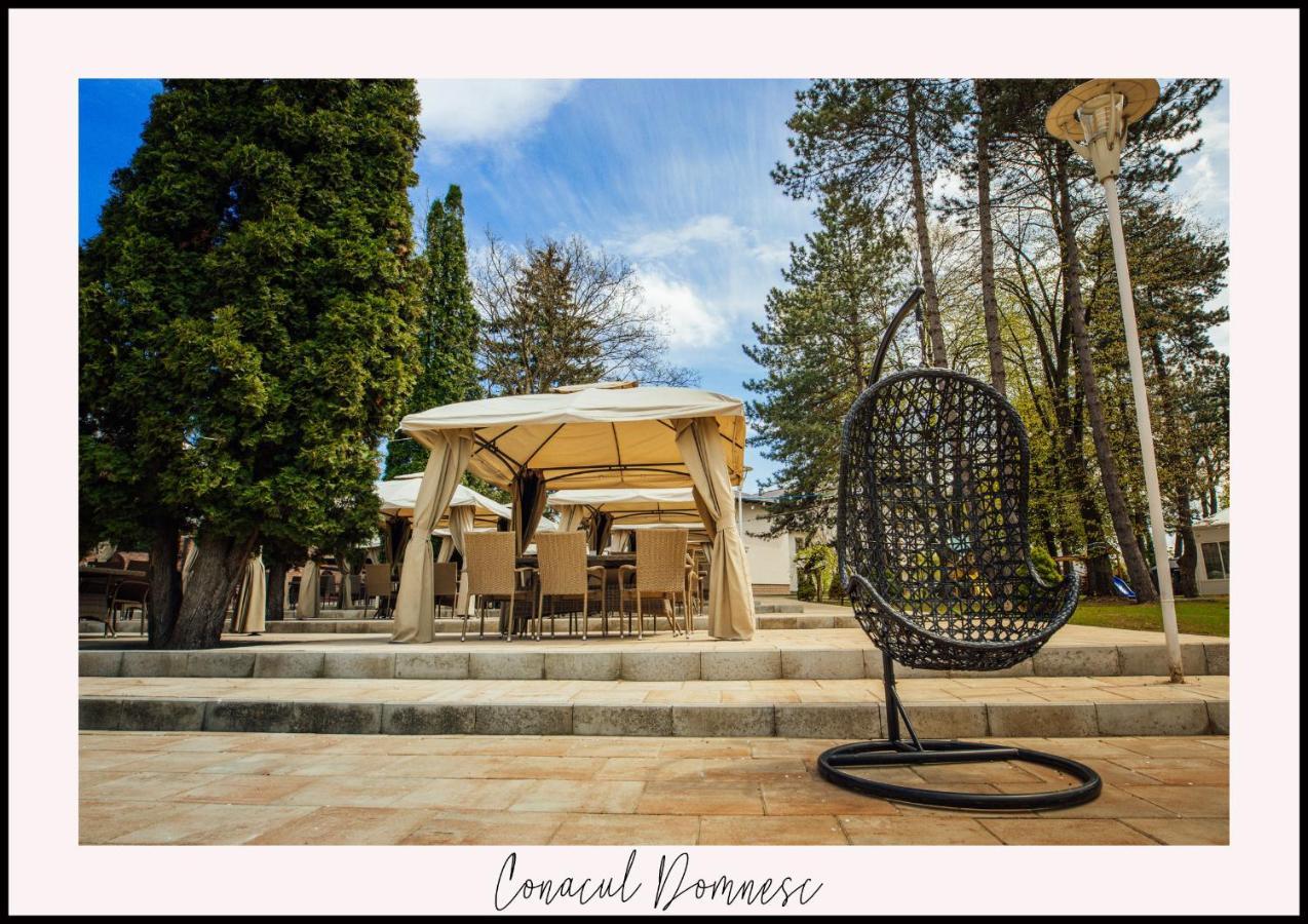 Conacul Domnesc Hotel Scheia Екстериор снимка