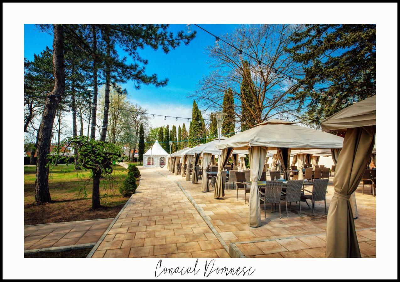 Conacul Domnesc Hotel Scheia Екстериор снимка